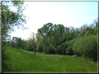 foto Colline tra Fonte Alto e Paderno del Grappa